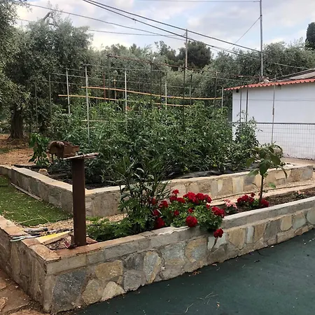 Holiday home Takis & Mary's Beach House Skala Kallirakhis